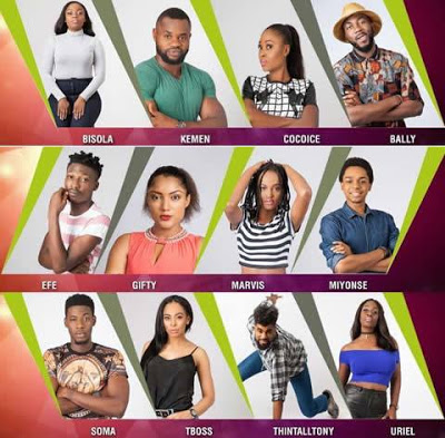 Meet The 2017 Big Brother Naija Housemates