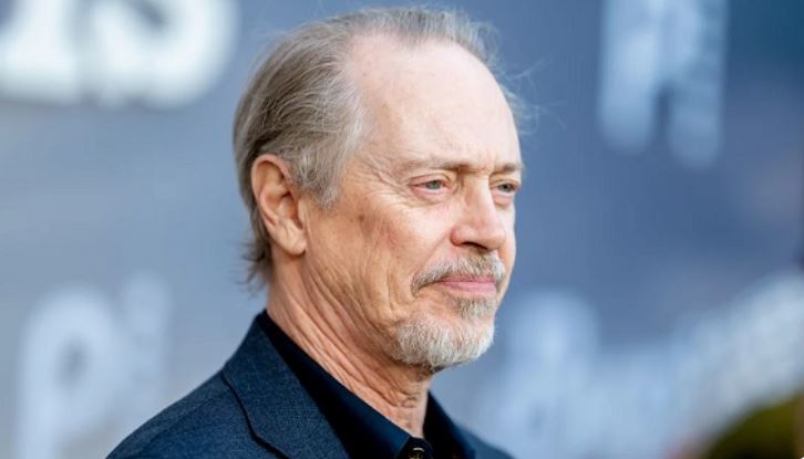 Hollywood actor Steve Buscemi punched in the face while walking in NYC