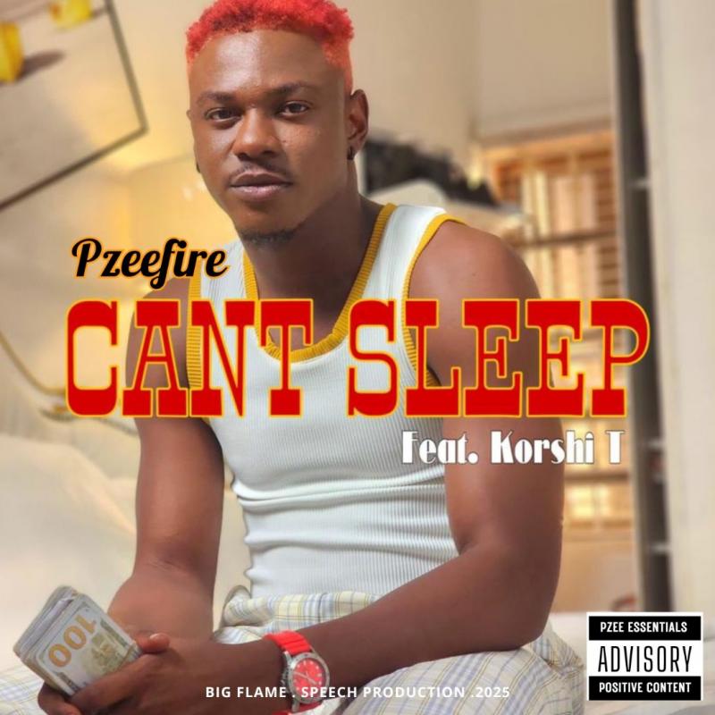 PZEEFIRE-COVER