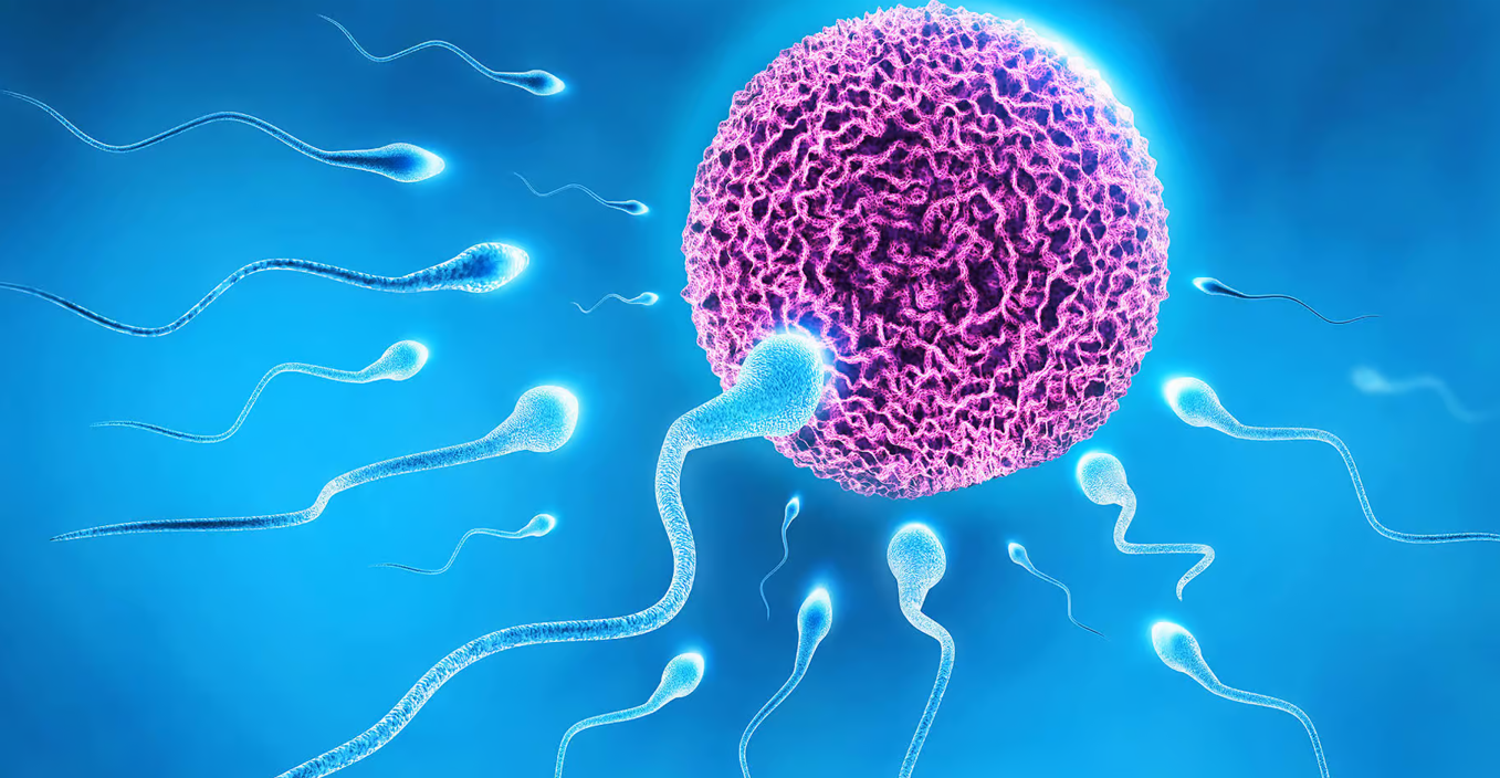 SPERM RACING: WHEN SCIENCE TURNS COMPETITIVE