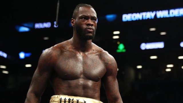 Wilder 'agrees' to unification fight with Joshua in UK